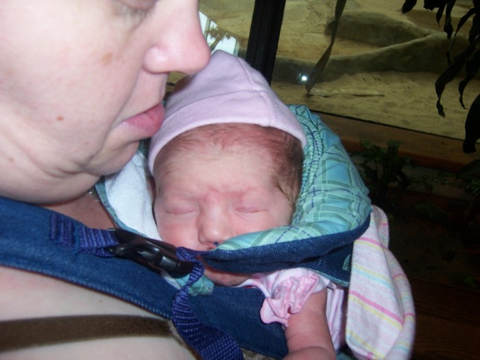 Scaled image 100_1115.JPG (700x525, 80kB)