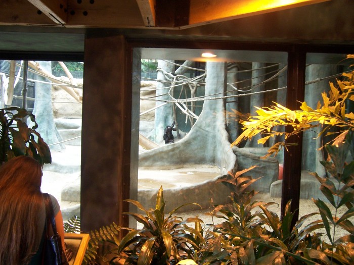 Scaled image 100_1118.JPG (700x525, 124kB)