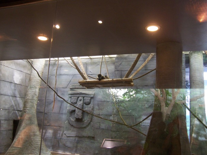 Scaled image 100_1124.JPG (700x525, 87kB)