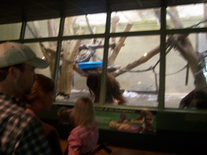 Scaled image 100_1125.JPG (700x525, 74kB)