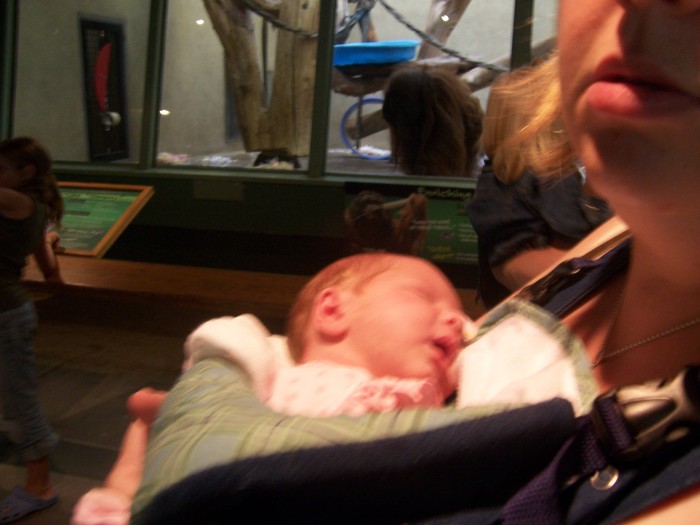 Scaled image 100_1126.JPG (700x525, 72kB)