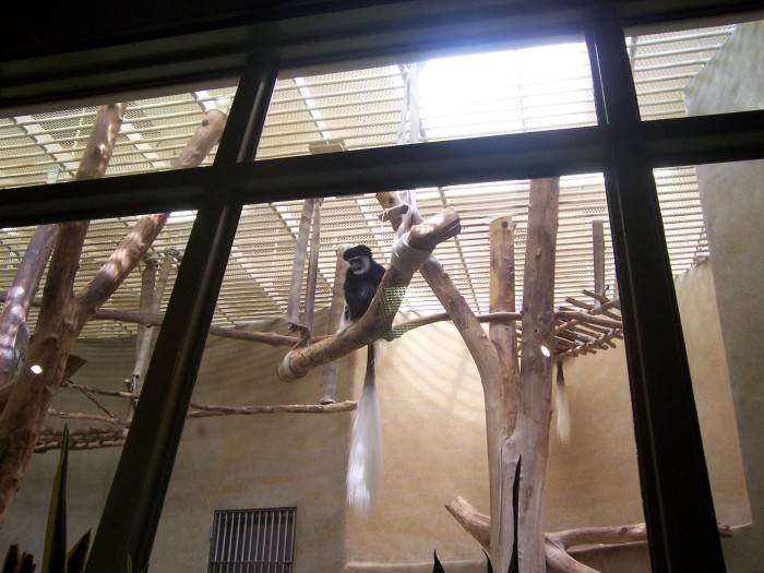 Scaled image 100_1127.JPG (700x525, 103kB)