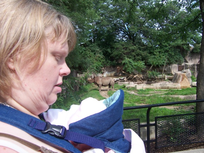 Scaled image 100_1128.JPG (700x525, 147kB)