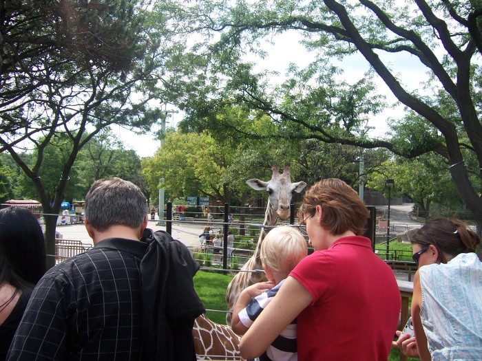 Scaled image 100_1130.JPG (700x525, 169kB)