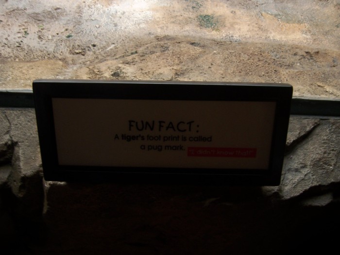 Scaled image 100_1134.JPG (700x525, 72kB)